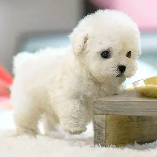 πΆ Ultra-Realistic Robotic Puppy Plush β The Cutest Companion Ever! πΆ - Image 2