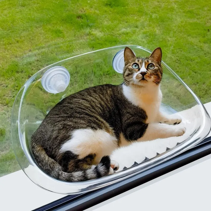 CatLounge | Ultimate comfort and entertainment for your cat