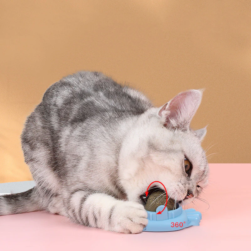 Catnip Balls Cat Treats: Fun, Healthy, and Irresistible for Your Cat 🐾 (3pcs) - Image 5