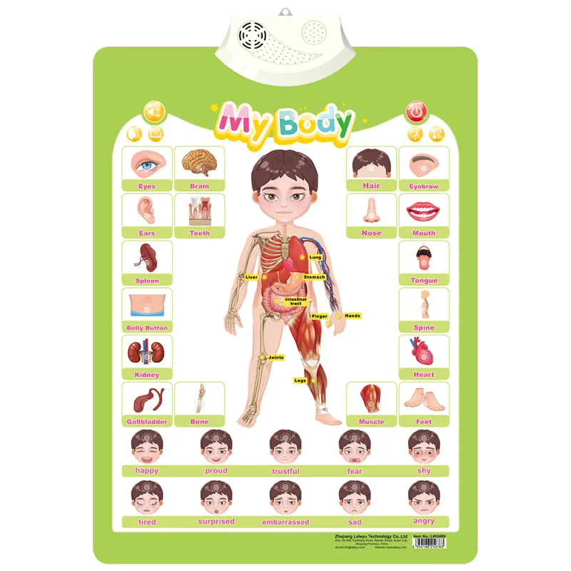 EduWall | Boost early learning with interactive fun - Image 5