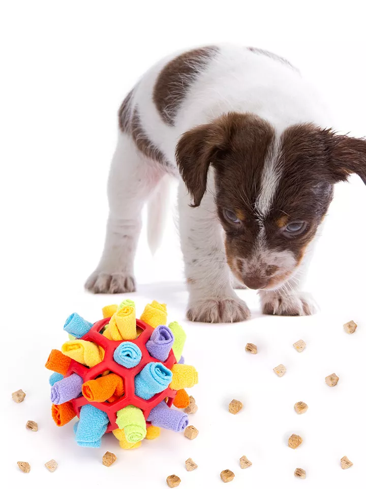 Interactive Sniffing Dog Toy (+Free Gift Included) - Image 4